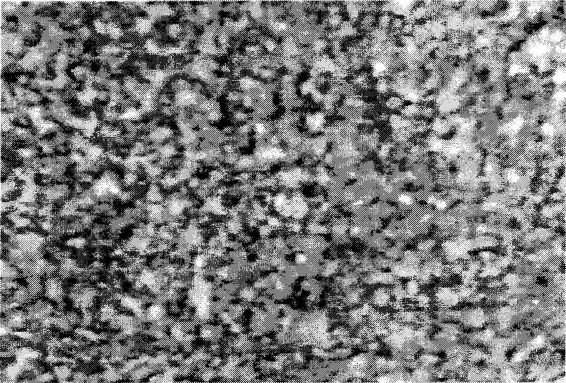 Method for preparing Ni cementing WC base cemented carbide