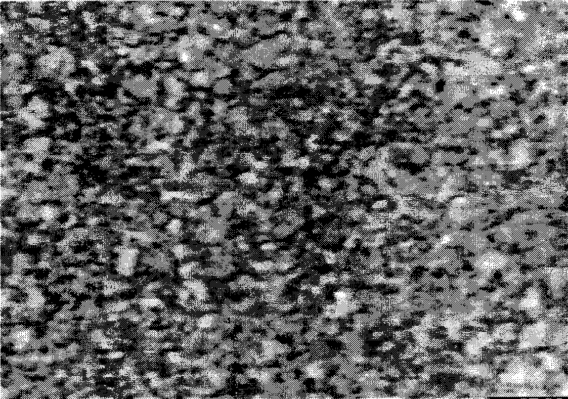 Method for preparing Ni cementing WC base cemented carbide