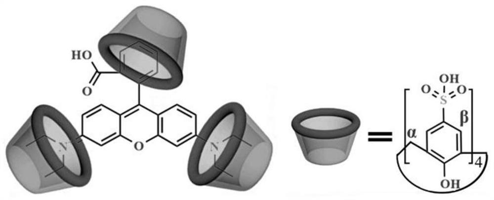 A calixarene-rhodamine supramolecular co-assembly and its preparation method and application