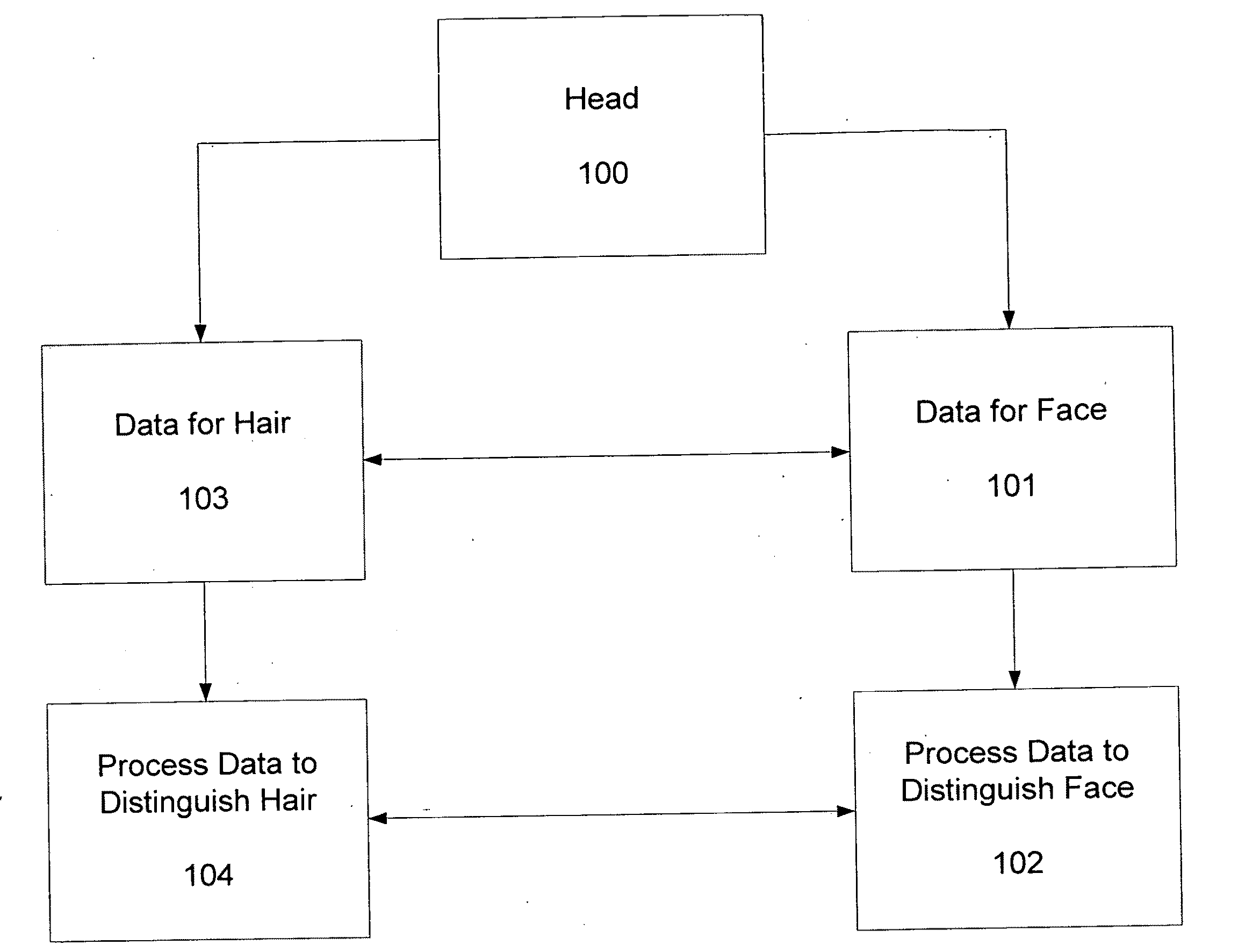 Systems and methods for segmenting human hairs and faces in color images