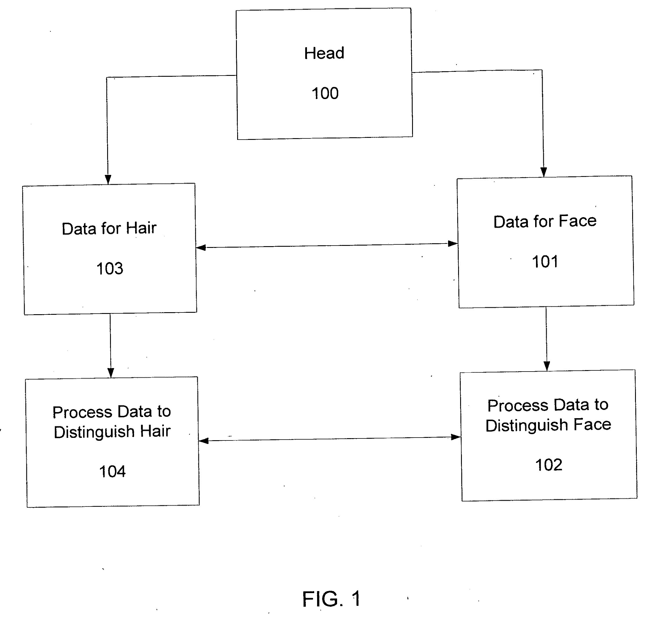 Systems and methods for segmenting human hairs and faces in color images