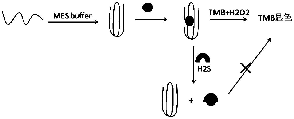 Hydrogen sulfide colorimetric sensor based on G4-Cu&lt;2+&gt; mimic enzyme system