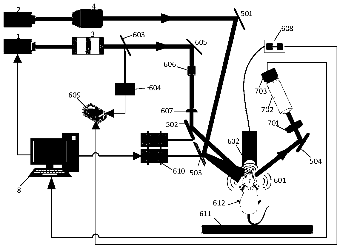 Multi-modality imaging equipment combining opto-acoustic imaging and laser speckle imaging