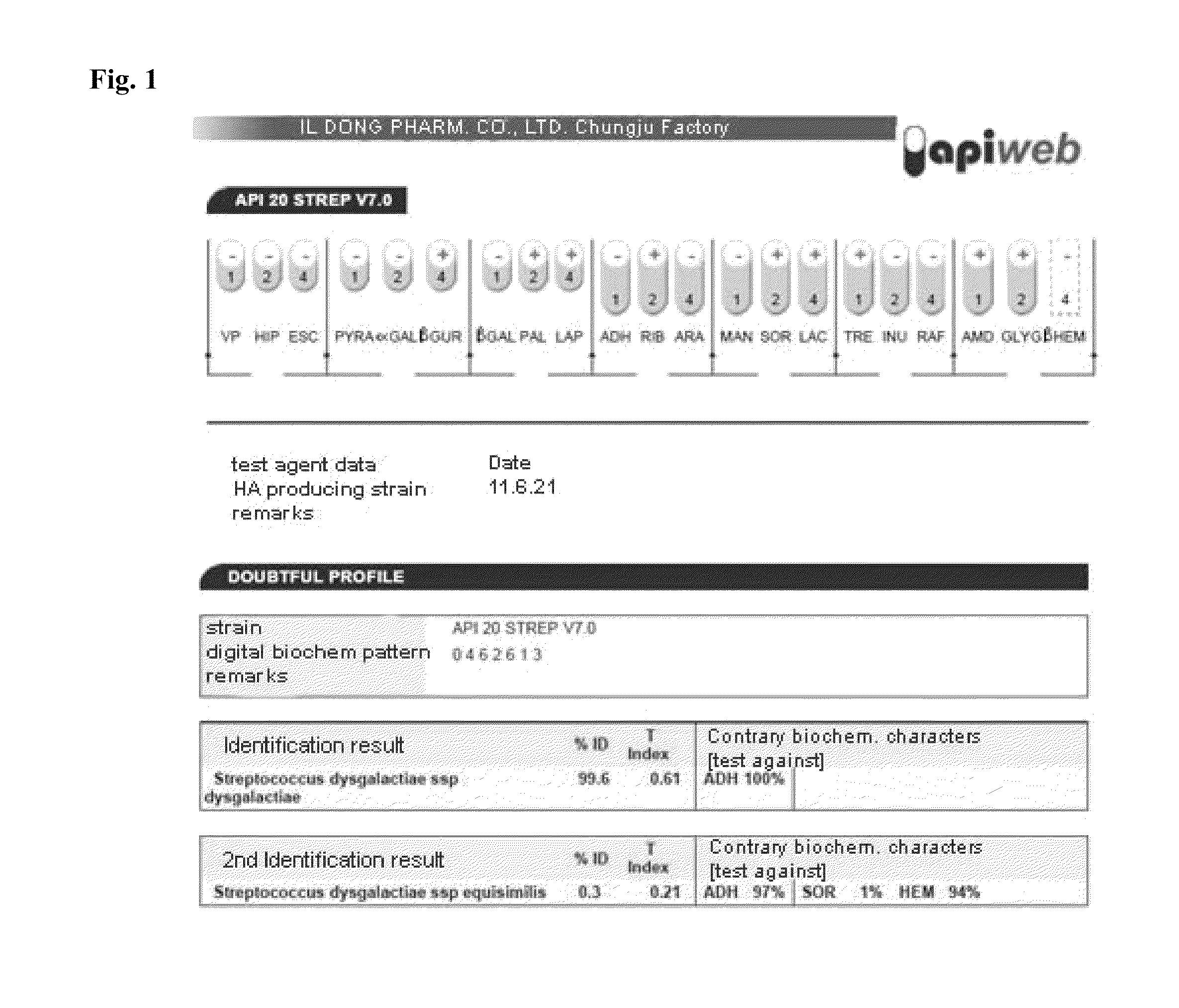 <i>Streptococcus dysgalactiae </i>ID9103 and method for production of hyaluronic acid using the same