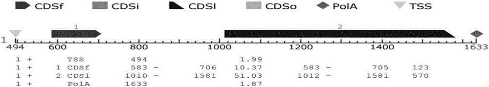 Rubber tree disease-resistant related protein GLPs and coding gene and application thereof