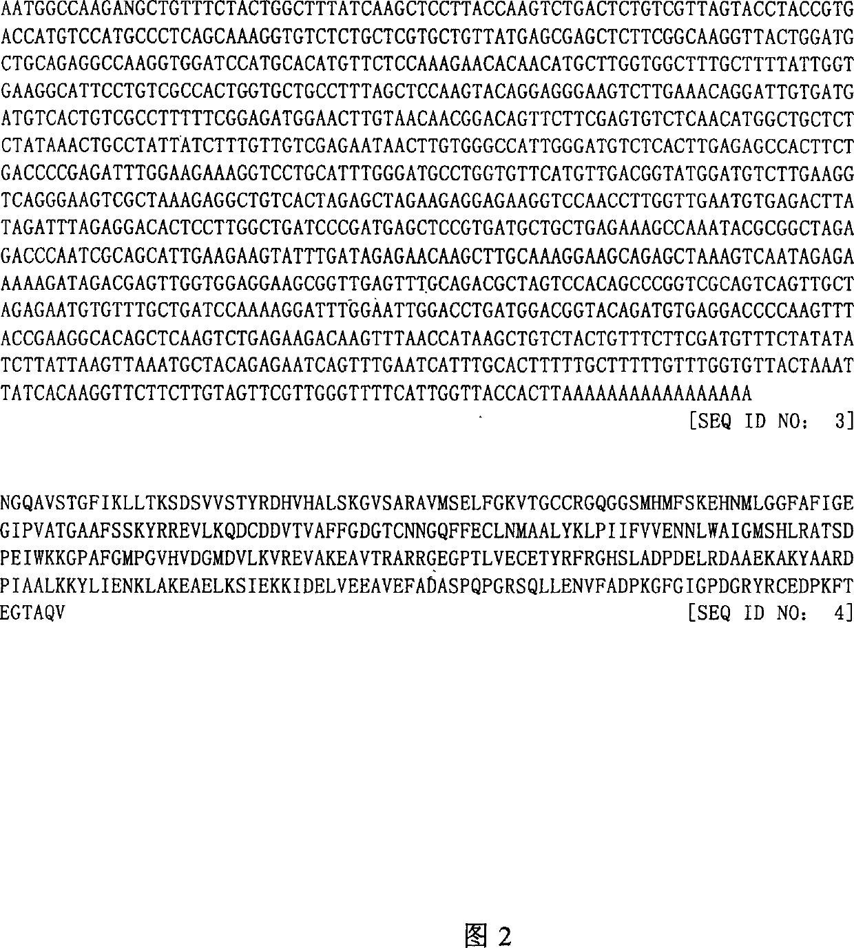 Mateirals and methods for alteration of enzyme and acetyl coA levels in plants