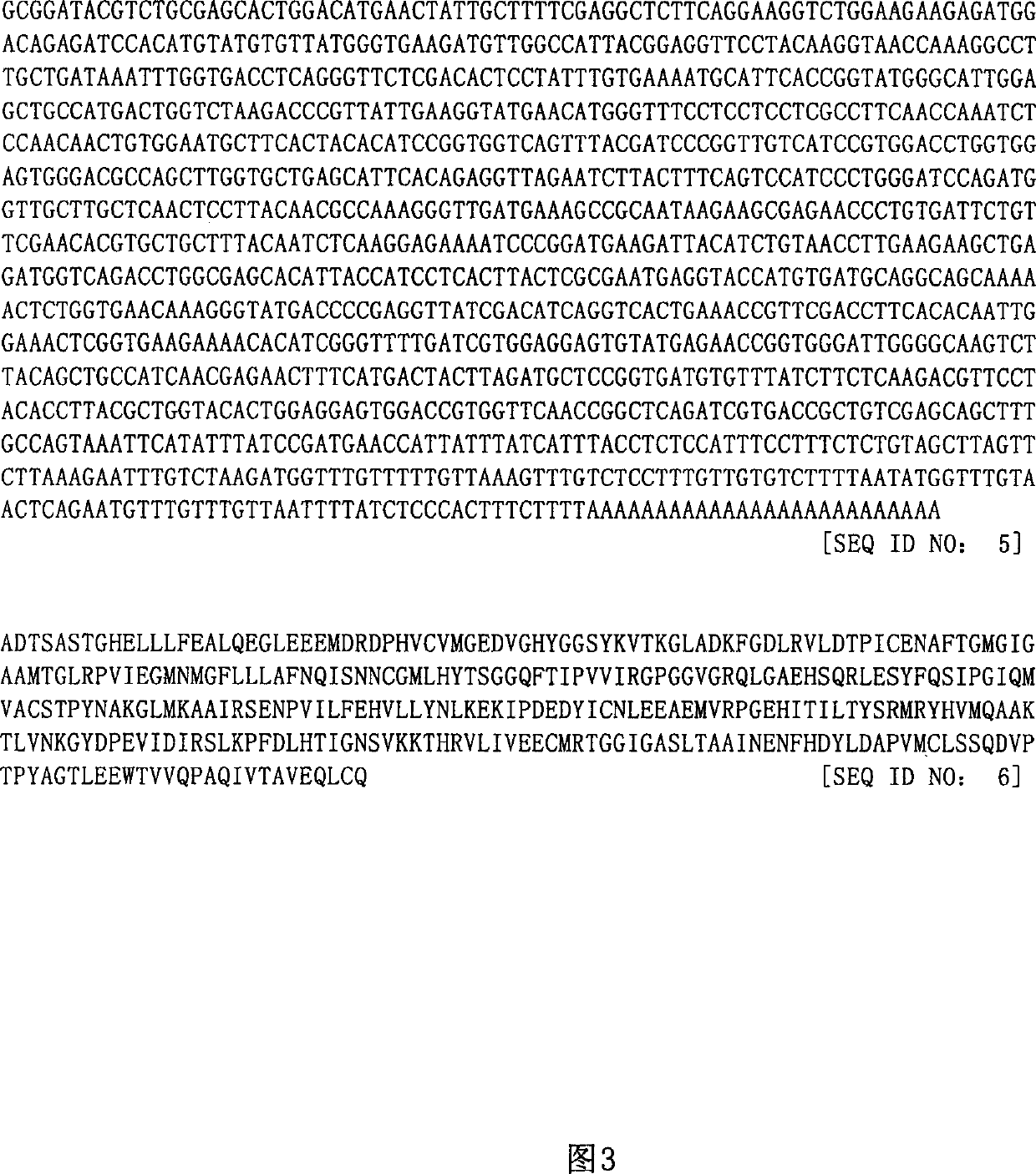 Mateirals and methods for alteration of enzyme and acetyl coA levels in plants