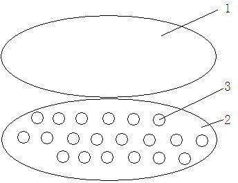 Method for purification culture of sweet potato rot stem nematodes