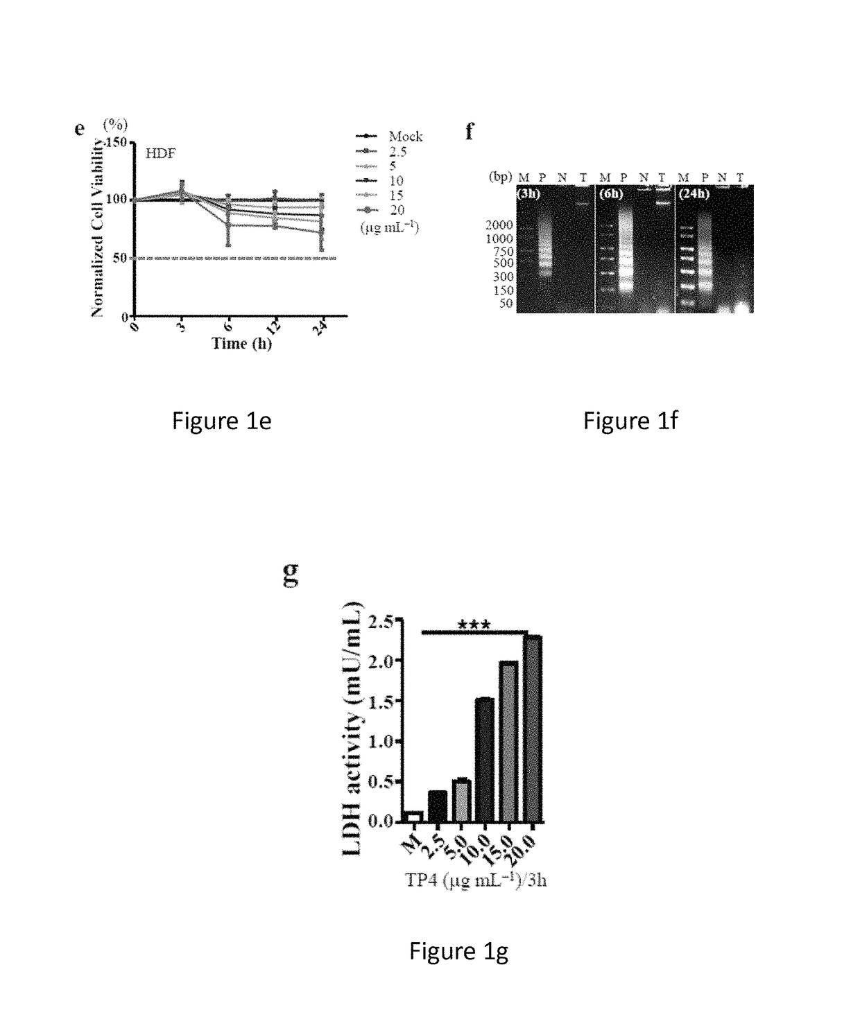 Use of an antimicrobial peptide TP4 in treating a cancer