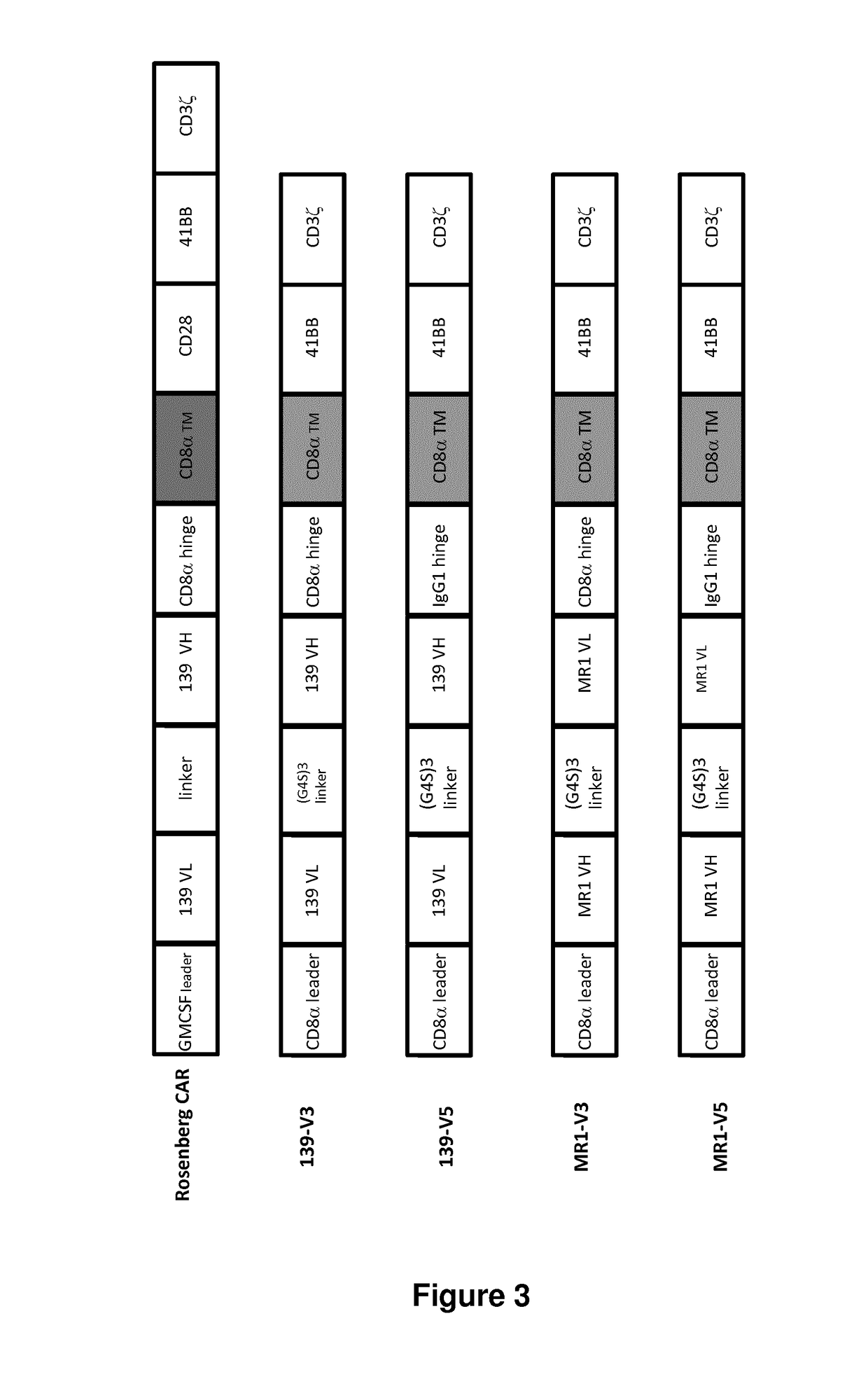 EGFRvIII Specific Chimeric Antigen Receptor For Cancer Immunotherapy