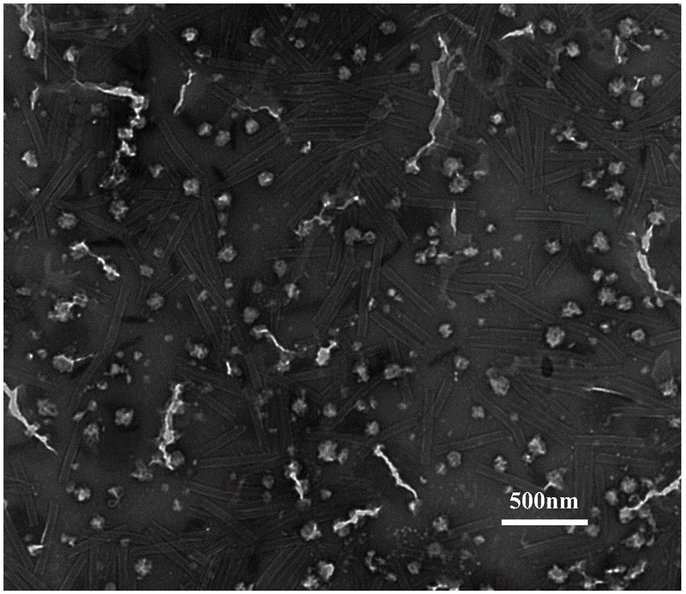 Method for preparing noble metal palladium nanorods by utilizing the nucleocapsid of cotton bollworm baculovirus