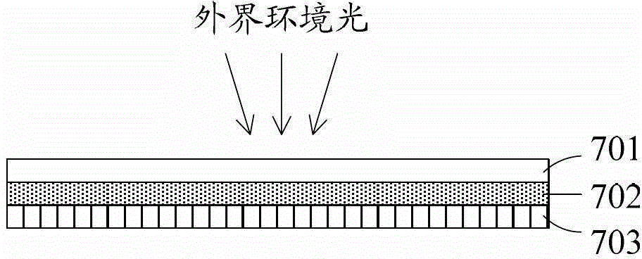 A polarizer and a display device