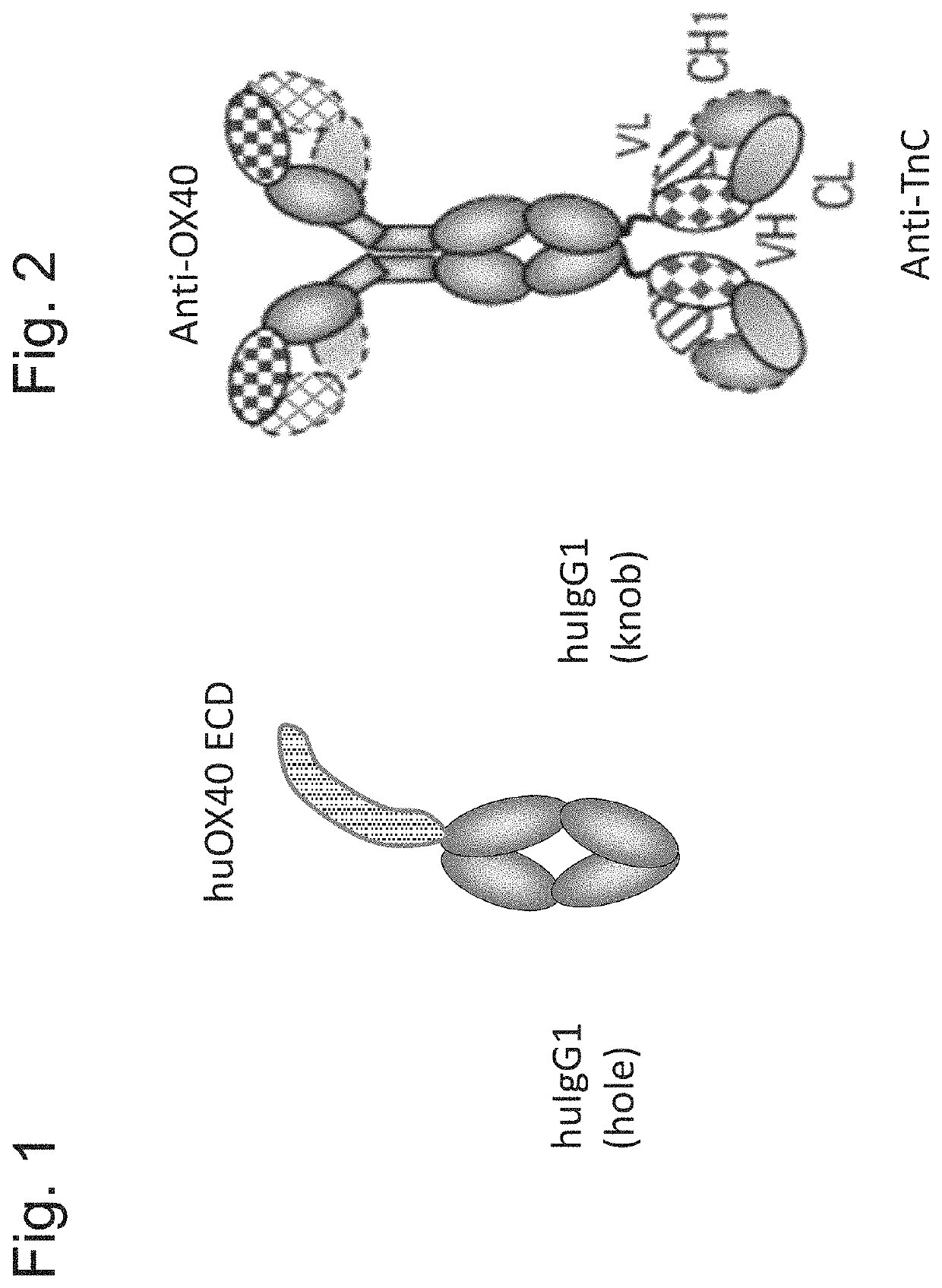 Bispecific antigen binding molecule for a costimulatory TNF receptor