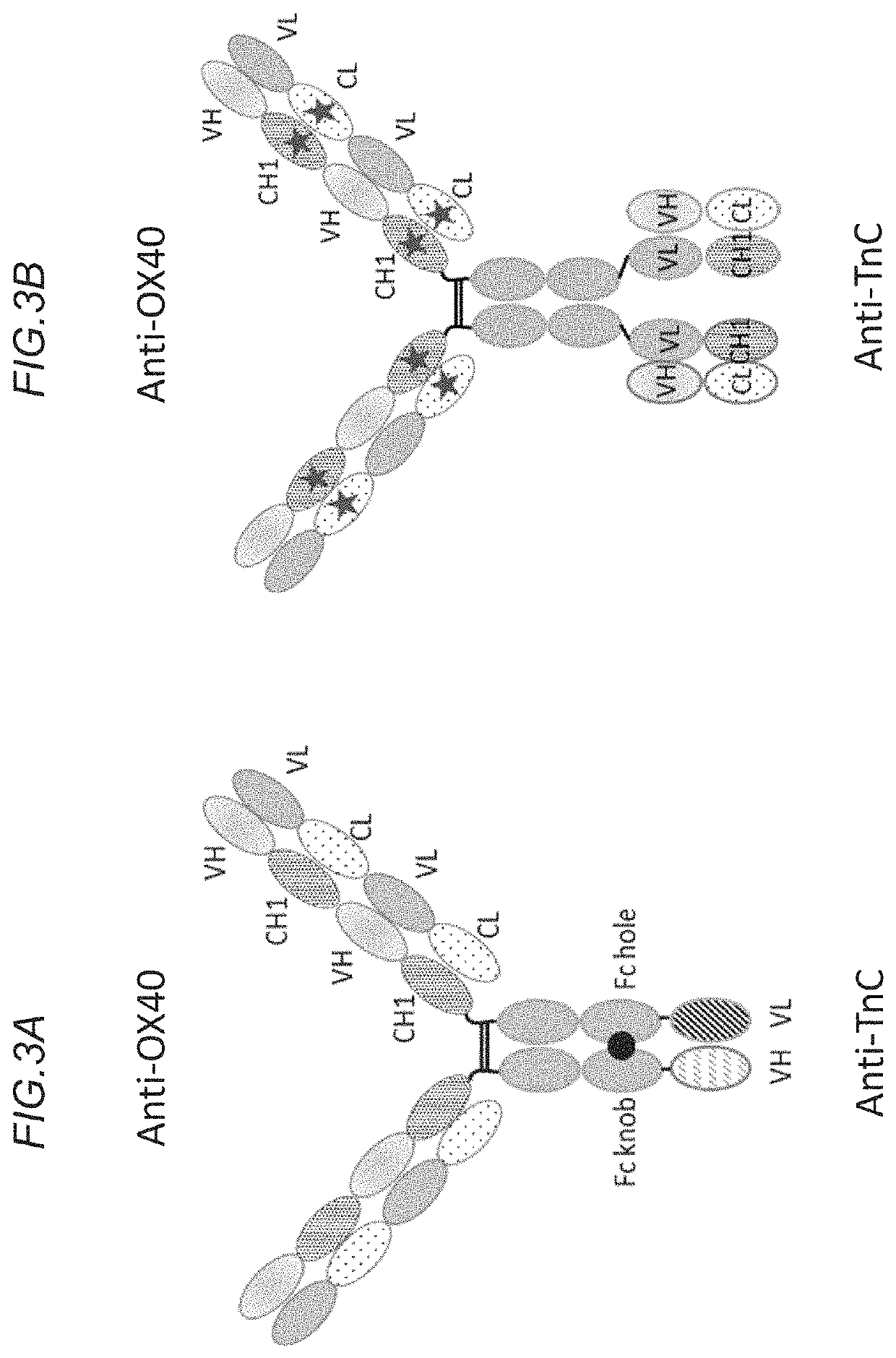 Bispecific antigen binding molecule for a costimulatory TNF receptor