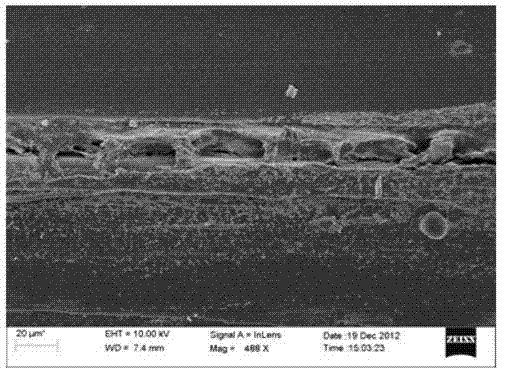 Electrophoresis display assembly, electrophoresis displayer and preparation method of the same