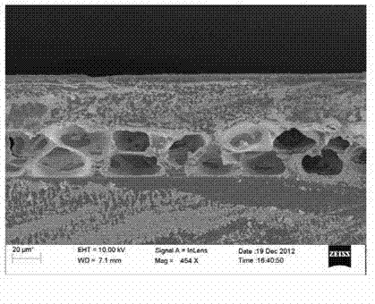 Electrophoresis display assembly, electrophoresis displayer and preparation method of the same