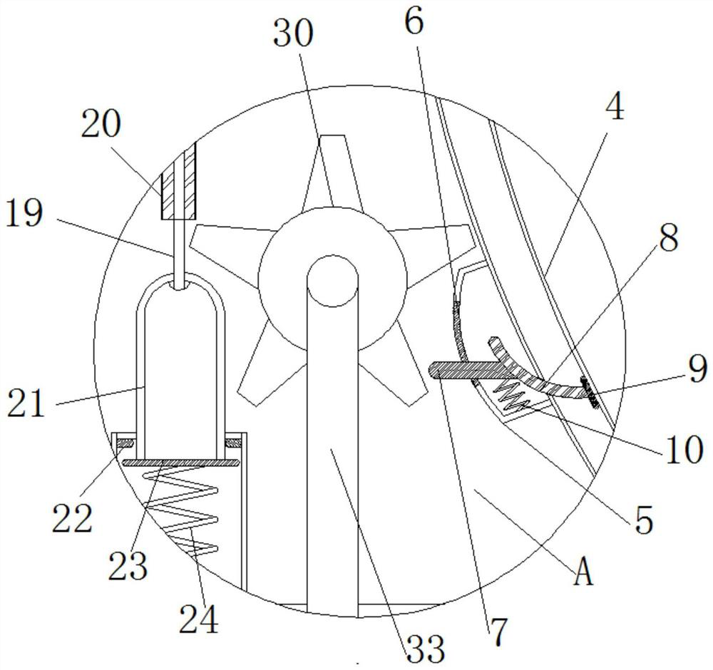 Quantitative automatic seeder used for peanuts