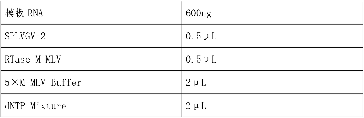 Kit for identifying and diagnosing potato leaf-roll virus in tobacco vein spot and assay method thereof