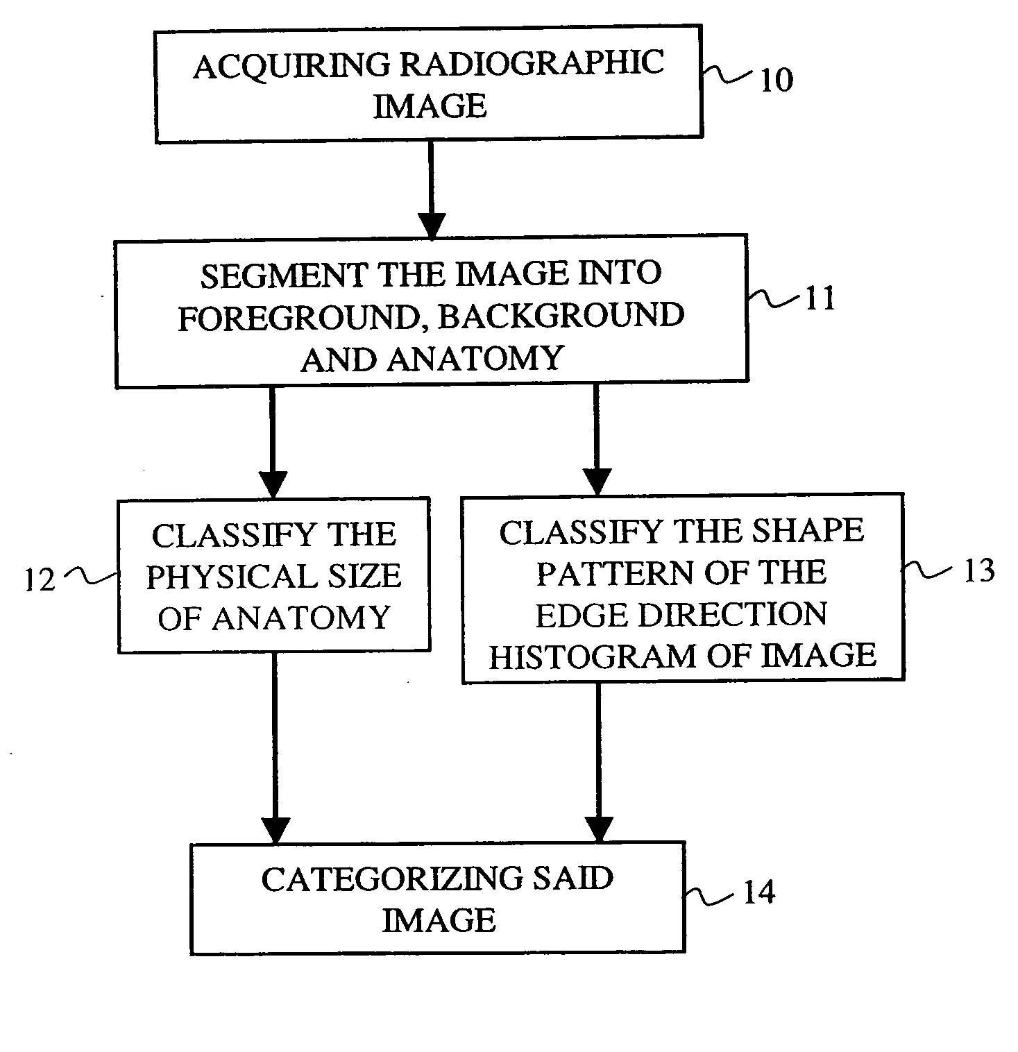 Automated radiograph classification using anatomy information