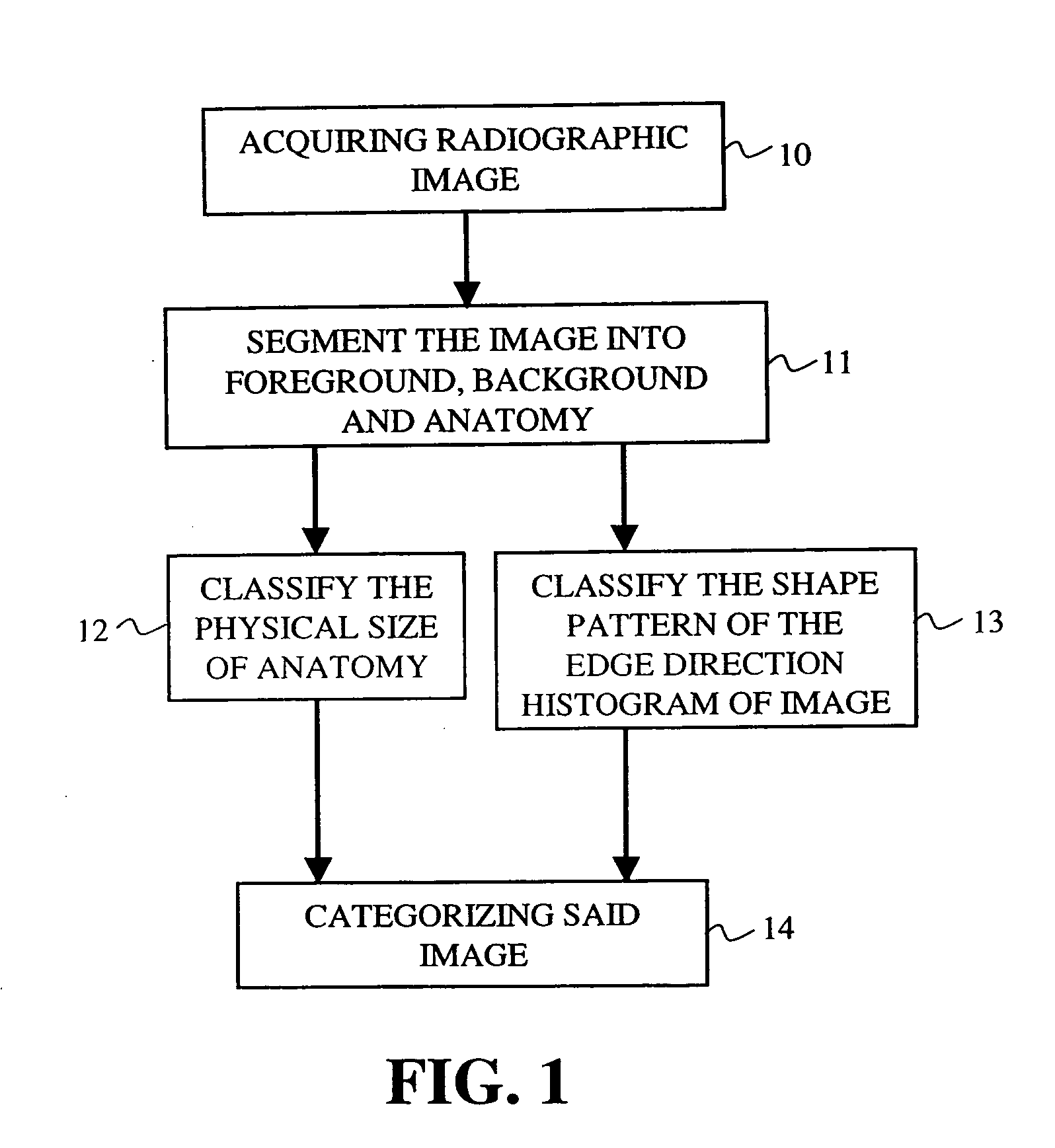 Automated radiograph classification using anatomy information