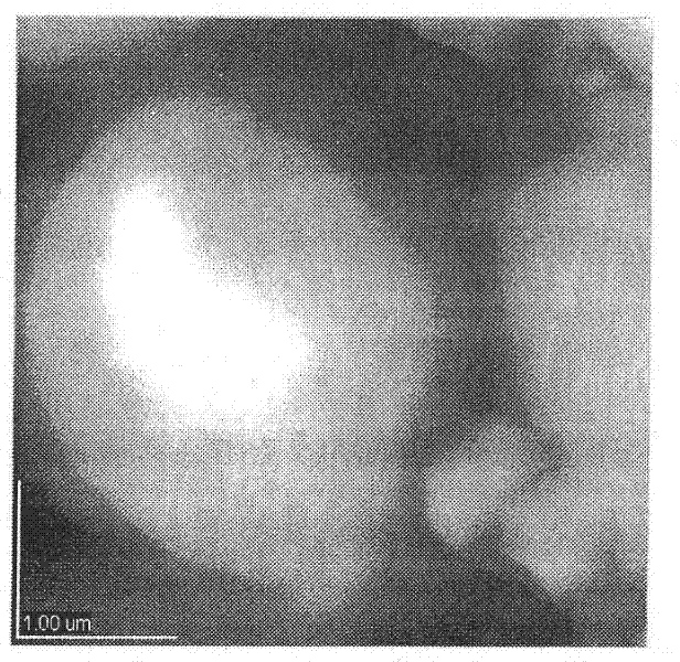 Antifungal lipopeptid-containing skin liniment and preparation method thereof