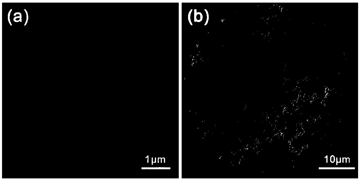 Hybrid porous monolithic material, and preparation method and application thereof