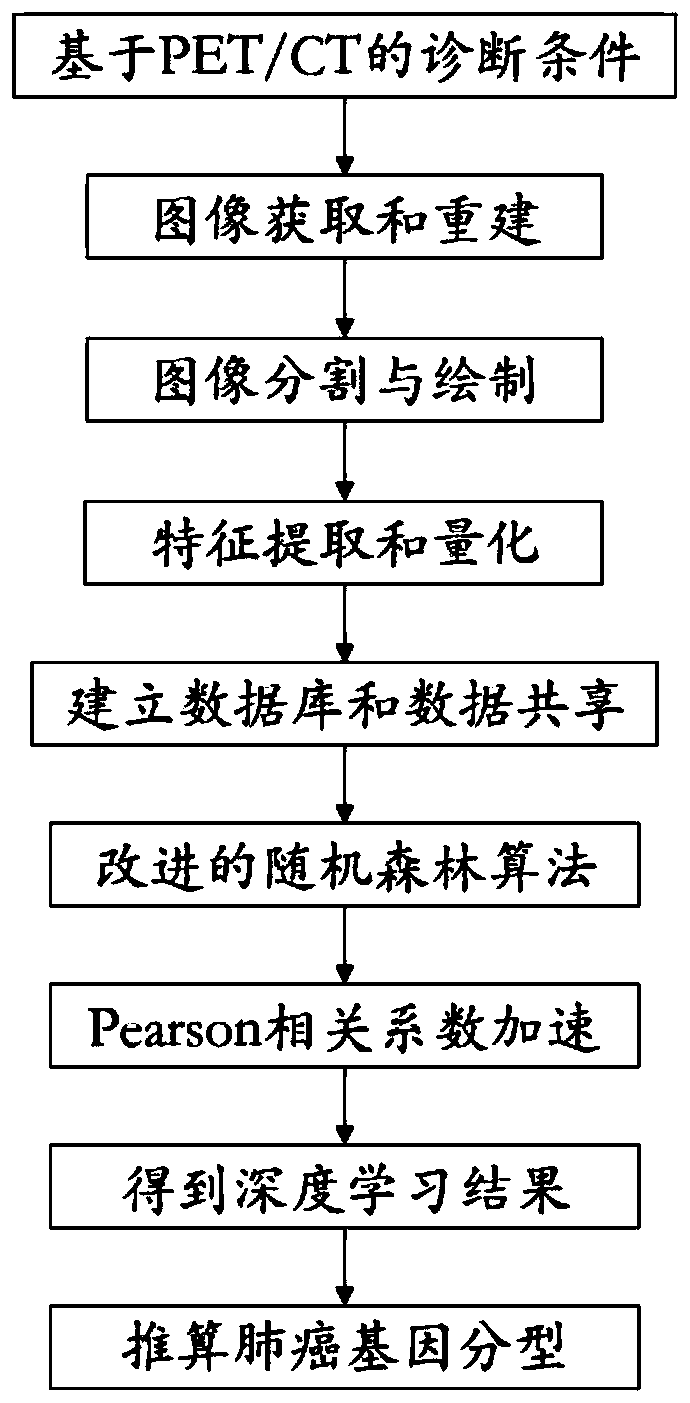 Calculation method for calculating lung cancer genotyping by using PET/CT image