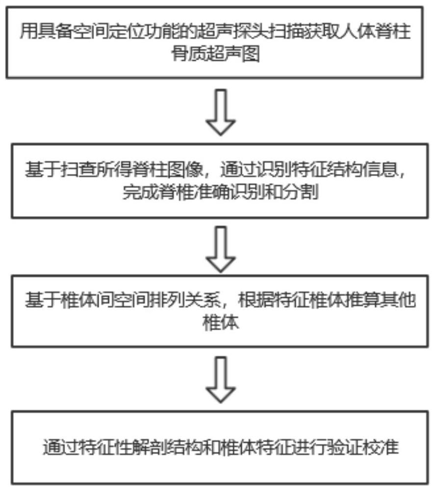 An automated vertebral body recognition method based on spine ultrasound coronal images