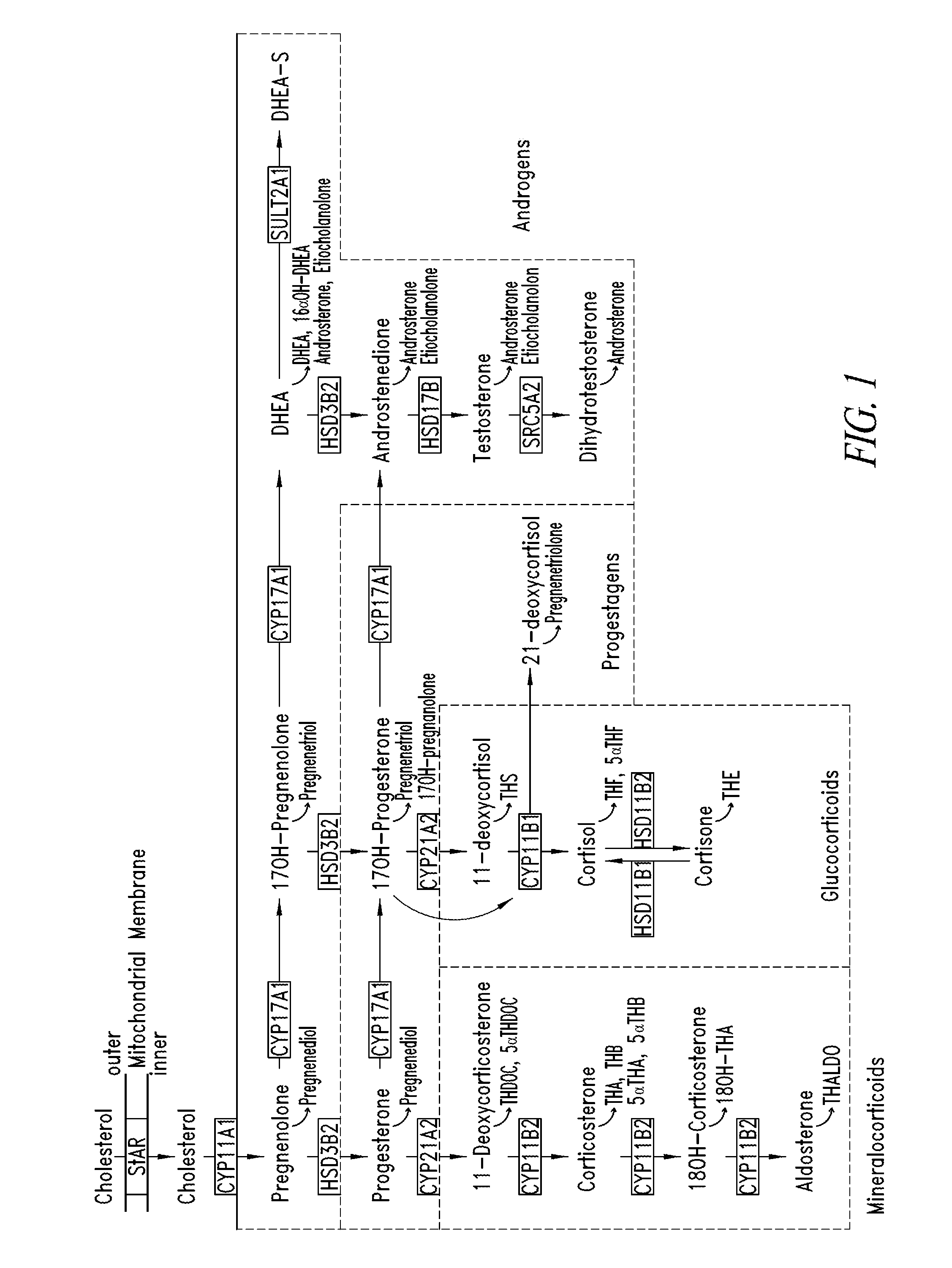 Combination therapy for treating disorders associated with excess cortisol production