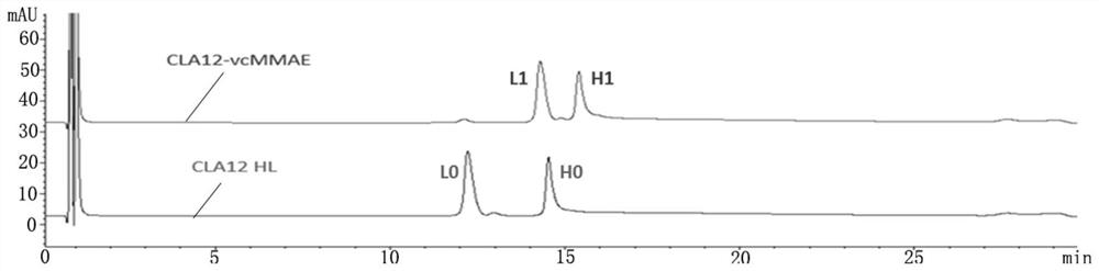 An antibody-dolastatin conjugate and its preparation method and application