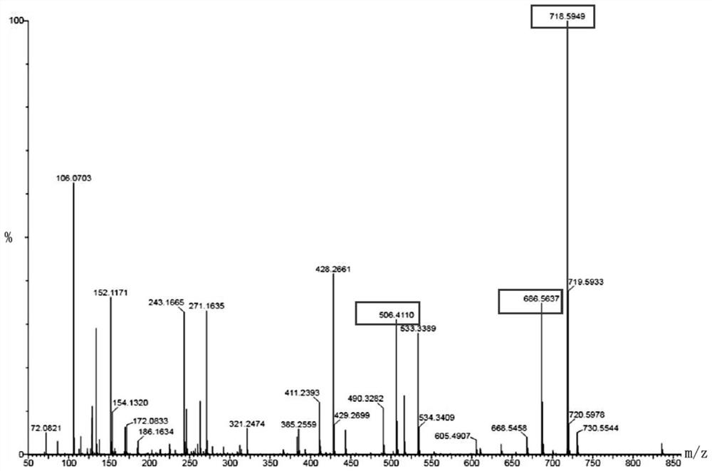 An antibody-dolastatin conjugate and its preparation method and application