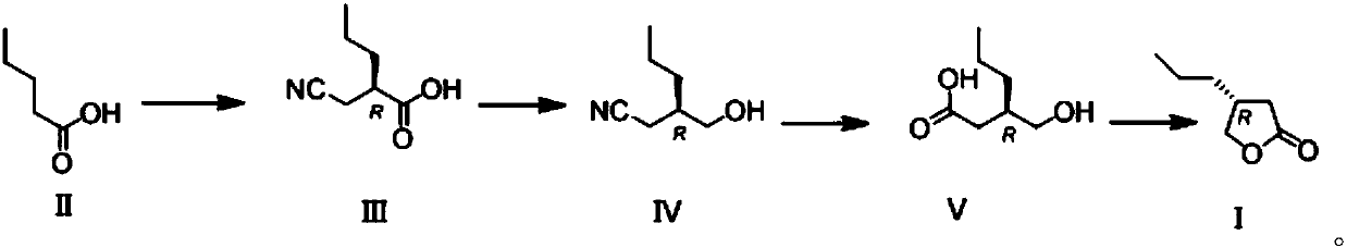 Novel butyrolactone derivative synthesizing method