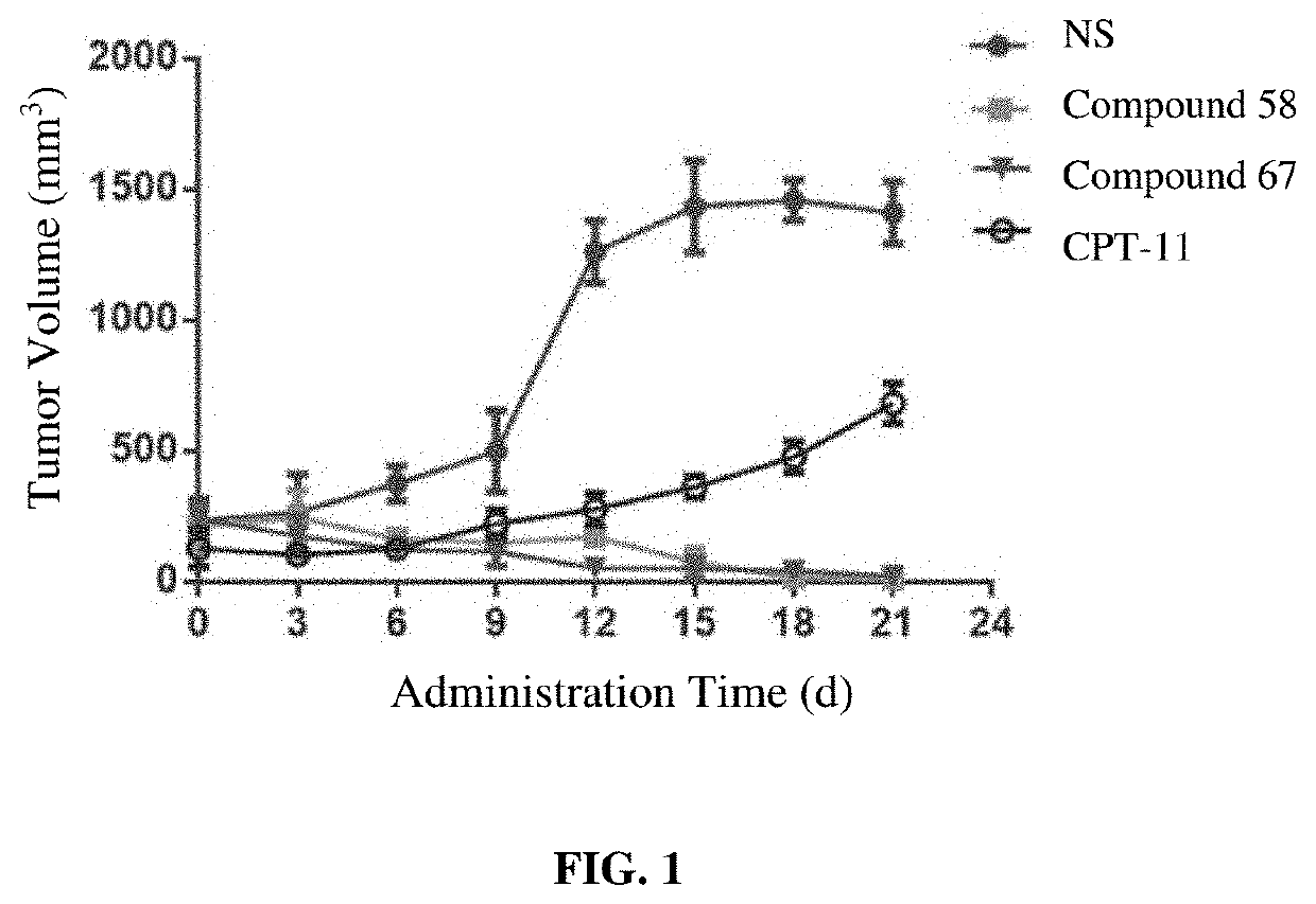 Camptothecin derivatives and preparation methods and applications thereof