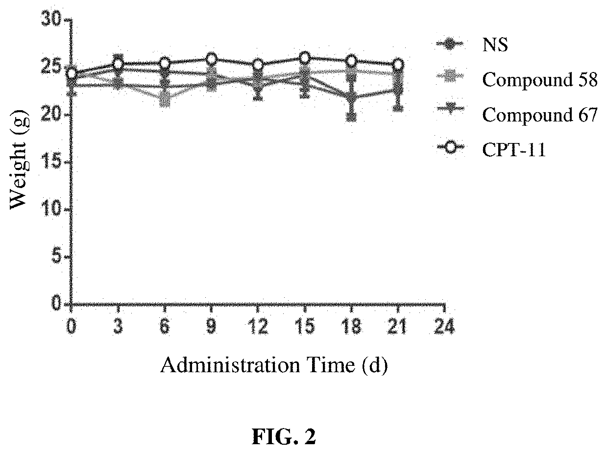 Camptothecin derivatives and preparation methods and applications thereof