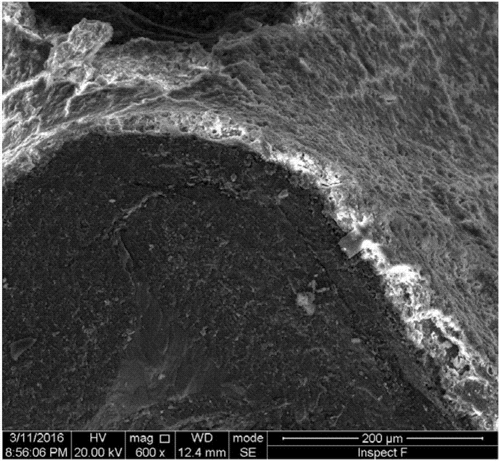 Foam-structure catalyst used in reaction for preparing benzyl alcohol from benzaldehyde through hydrogenation and preparation thereof