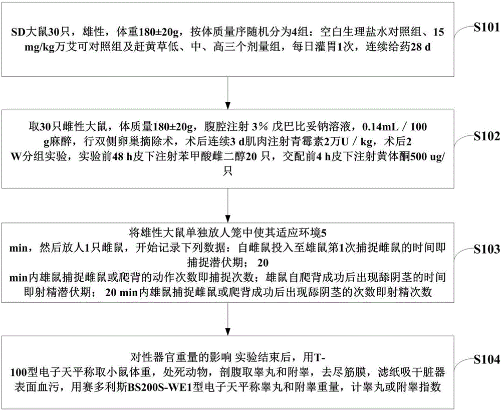 Experimental method of Penthorum chinense Pursh on effect of normal sexual functions of male rats