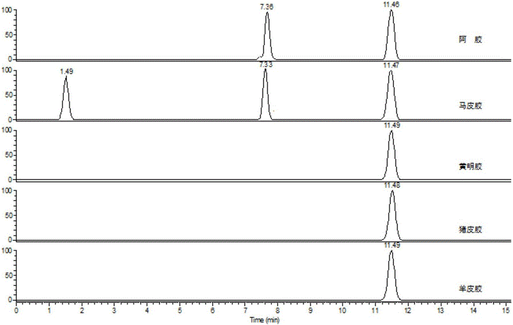 Composition and kit for detecting content of donkey hide source component in donkey-hide gelatin, and detection method thereof