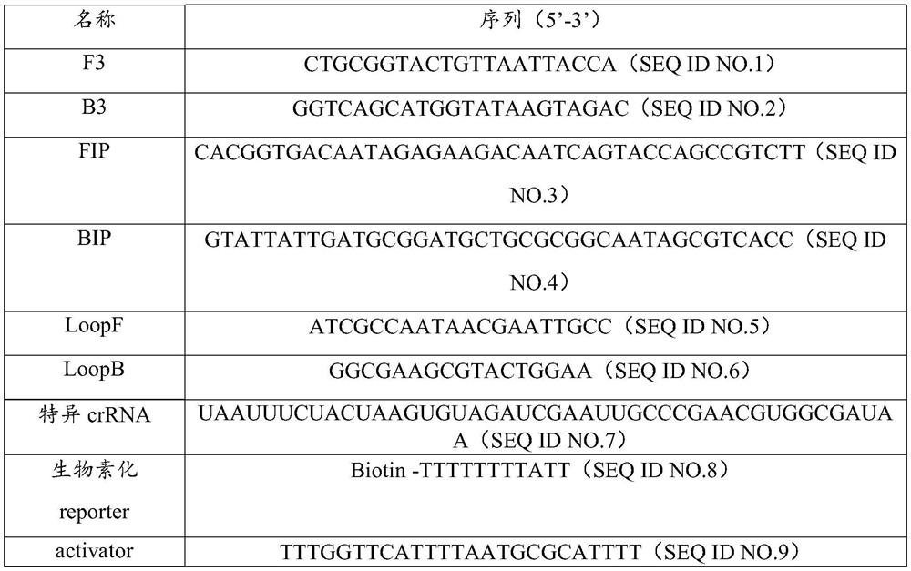 Method for detecting salmonella