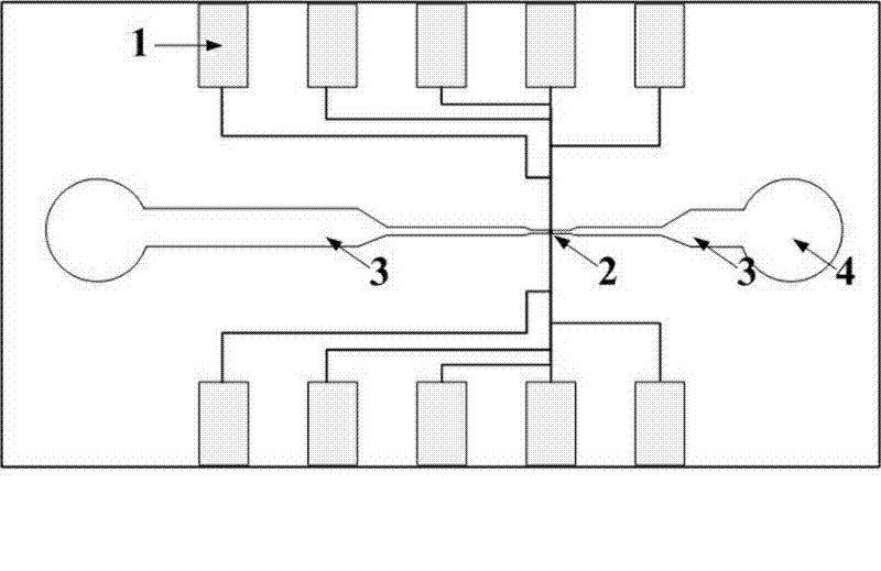 Nanofluidic chip, processing method based on atomic force microscopy (AFM), and application