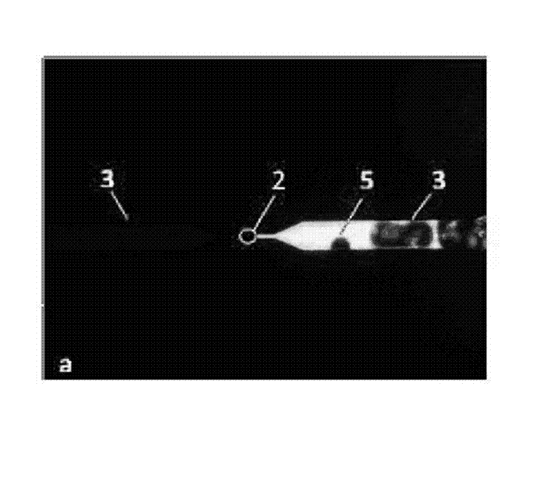 Nanofluidic chip, processing method based on atomic force microscopy (AFM), and application