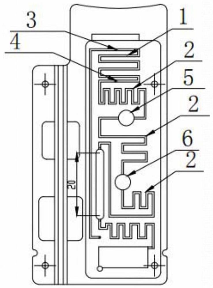 A microfluidic detection chip and its detection method