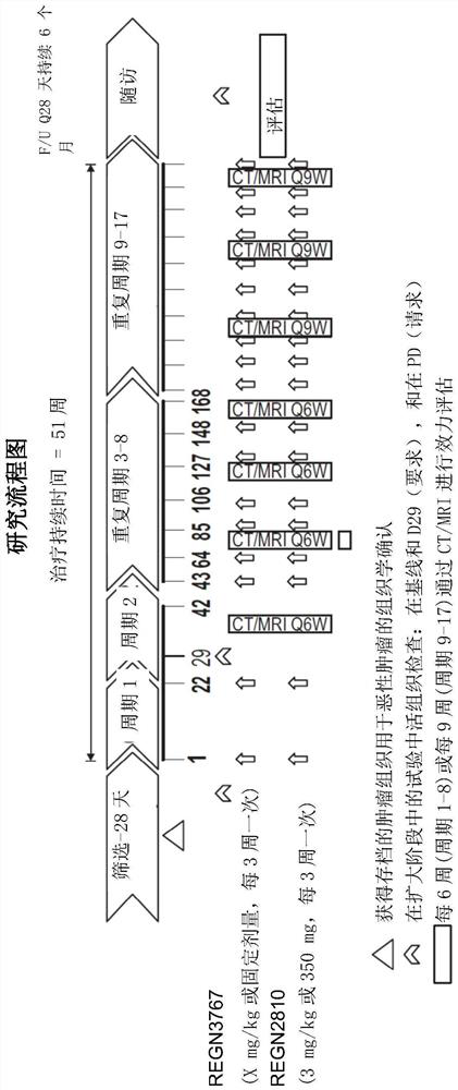 Combination of pd-1 inhibitors and lag-3 inhibitors for enhanced efficacy in treating cancer