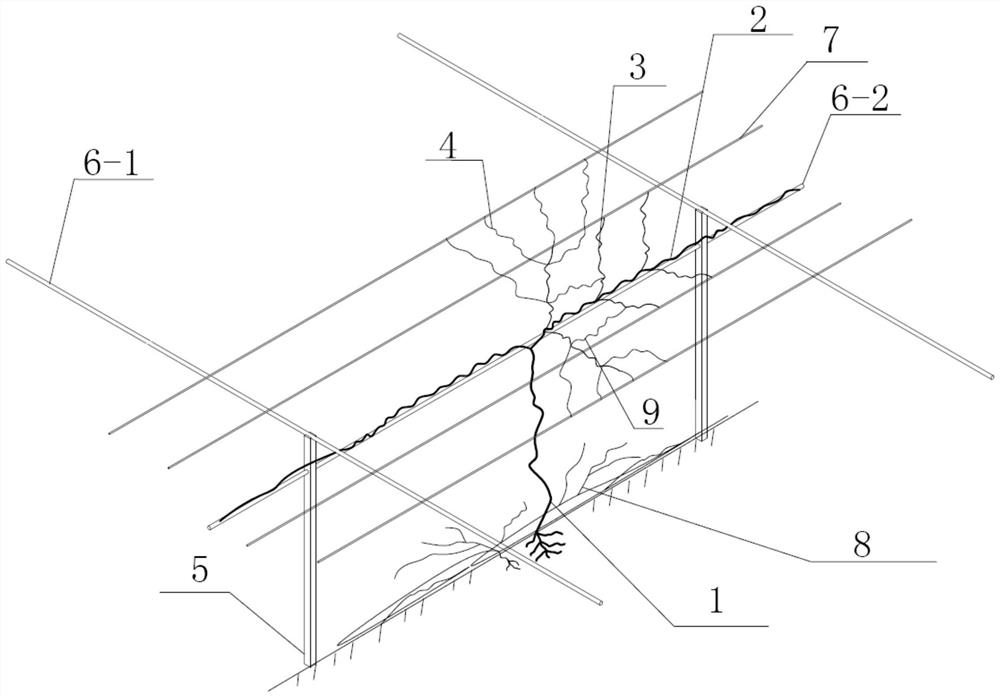 Method for ecologically treating southern stony desertification by combined cultivation of grapes and wild honeysuckle flowers