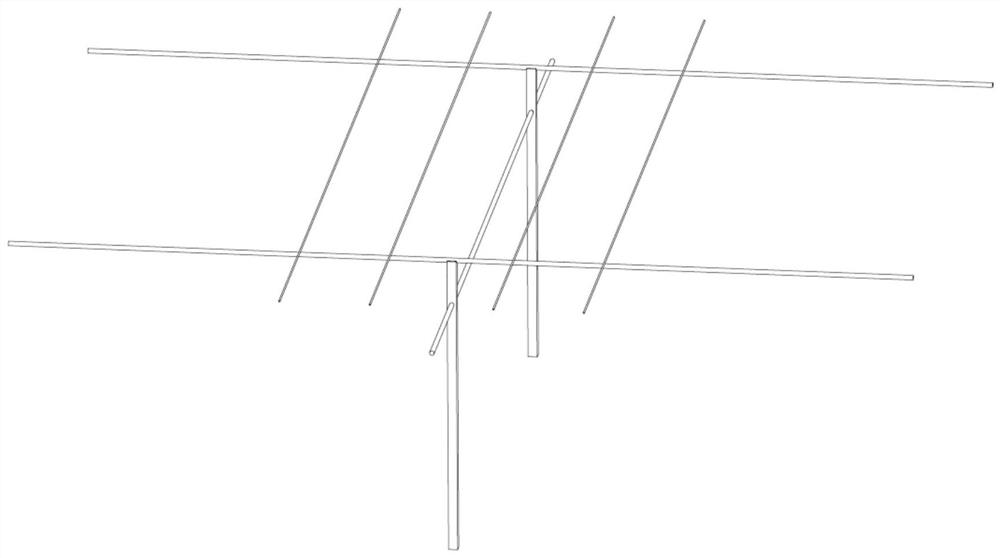 Method for ecologically treating southern stony desertification by combined cultivation of grapes and wild honeysuckle flowers