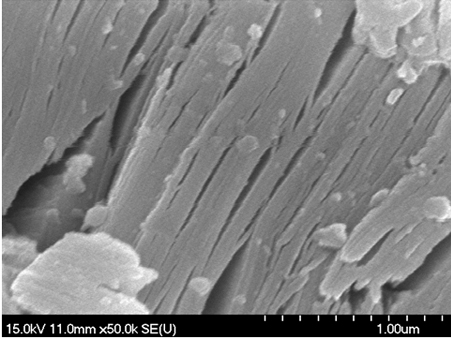 Catalyst Pd/Nb2C and preparation method and application thereof