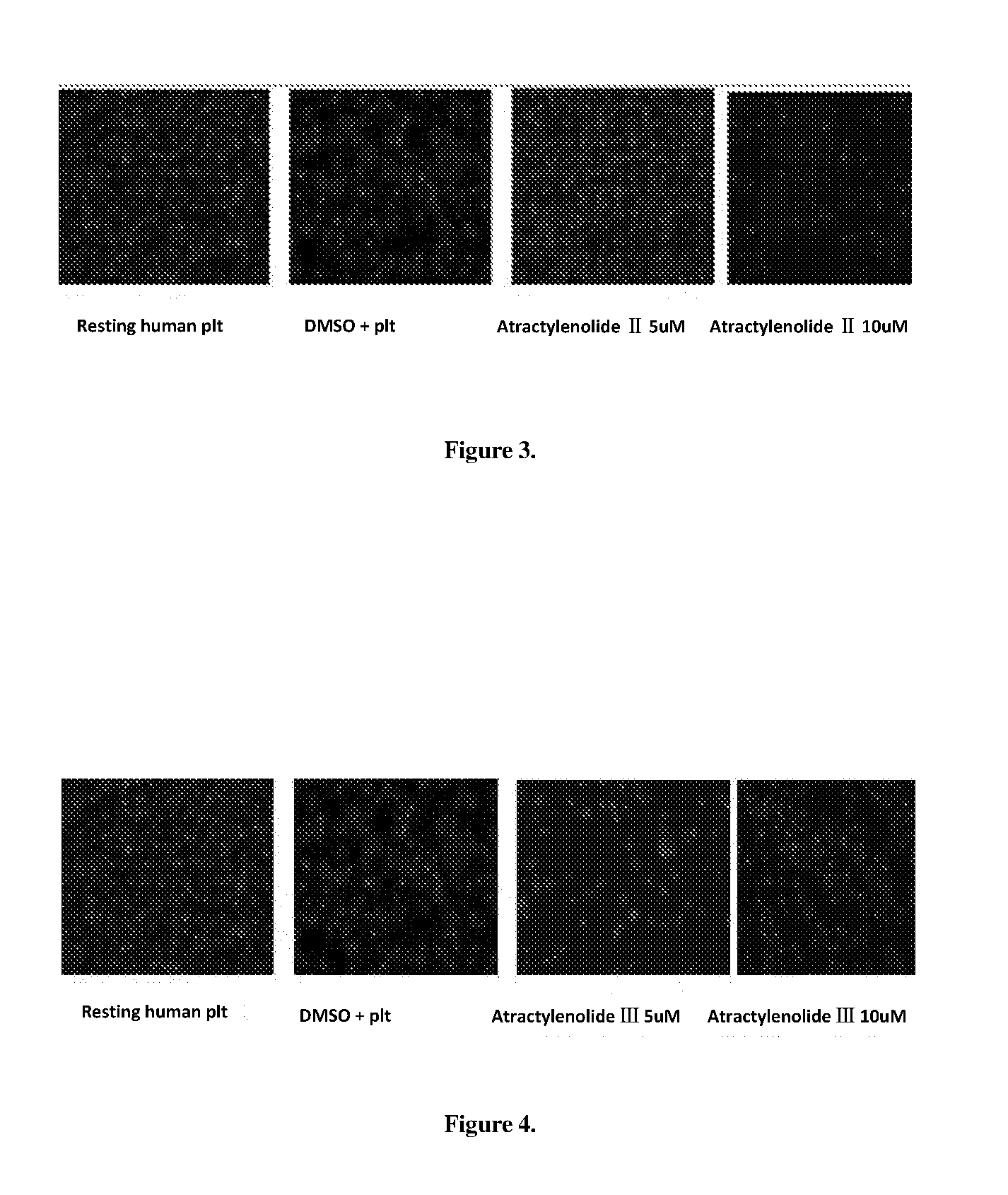 Use of atractylenolide compound or its derivatives and a medicament for inhibiting platelet aggregation