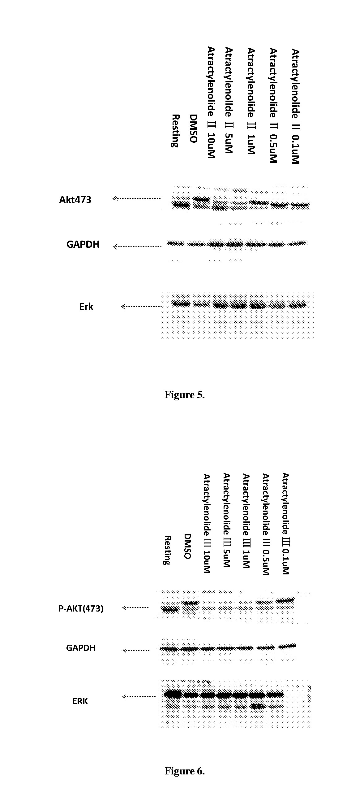 Use of atractylenolide compound or its derivatives and a medicament for inhibiting platelet aggregation