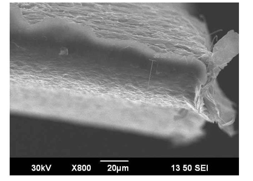 Method for preparing conductive polymer/carbon nanotube composite fiber thermoelectric material