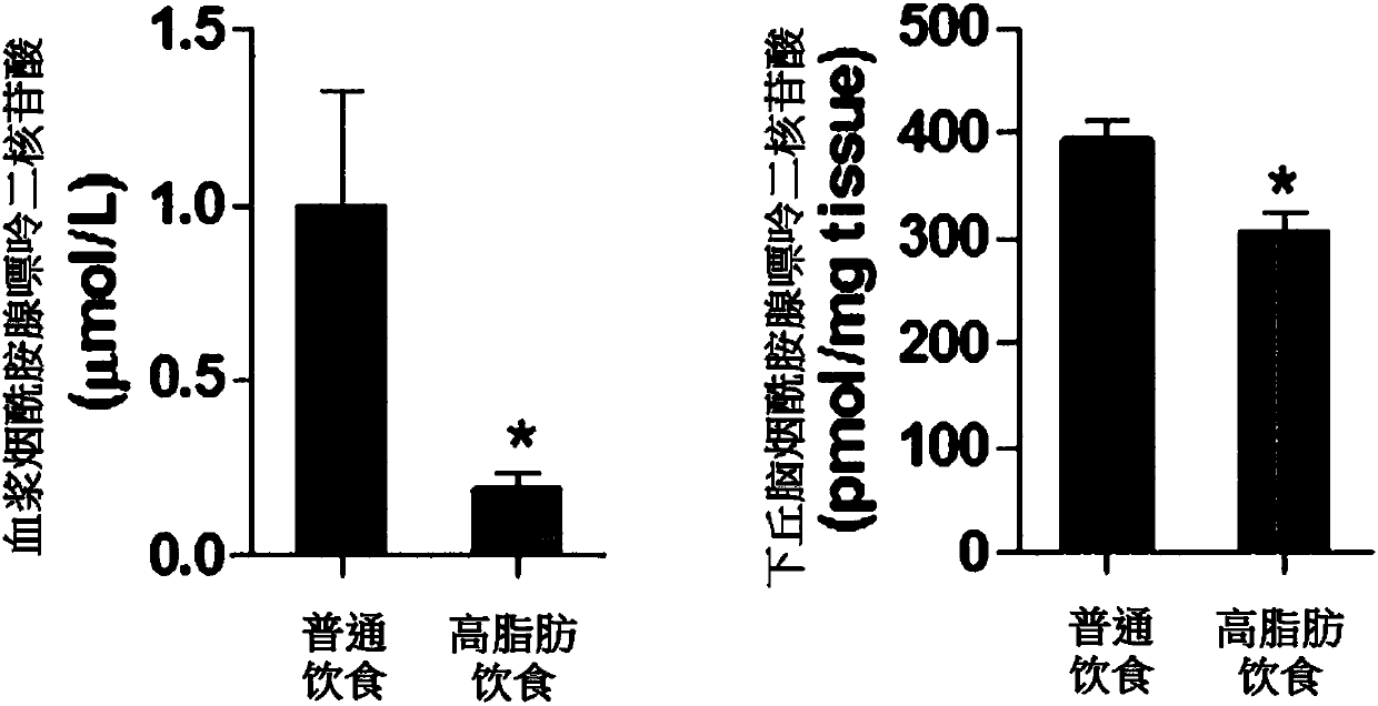 Composition containing NAD for preventing and treating obesity or impaired glucose tolerance