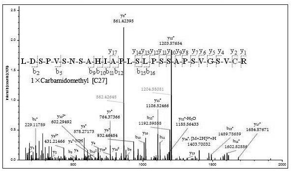 Agkistrodon halas hemocoagulase characteristic polypeptide and application thereof in species identification of hemocoagulase for injection